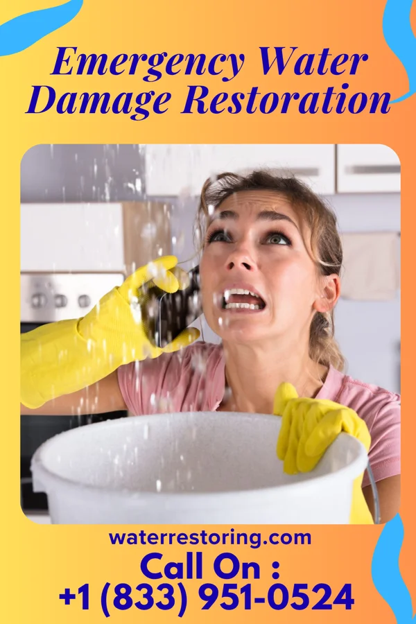 Emergency Water Damage Restoration in Sand Lake, MI